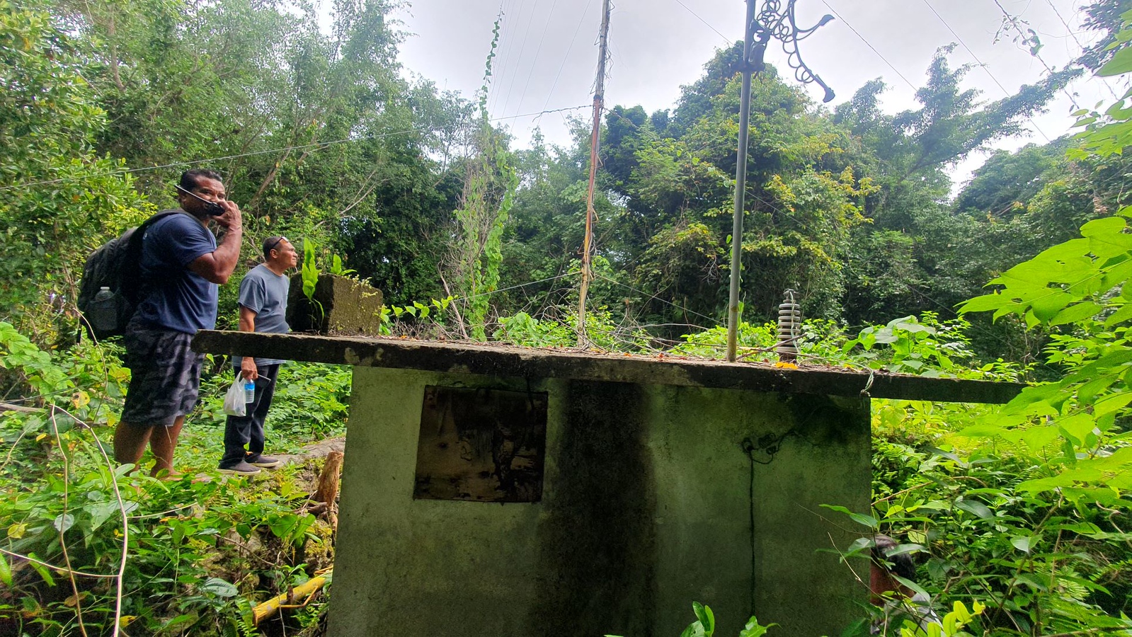 Photo: The radio site was surrounded by untouched jungle 